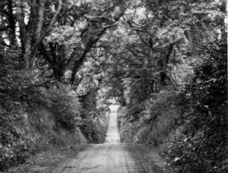 The Avenue Ufford c. 1920