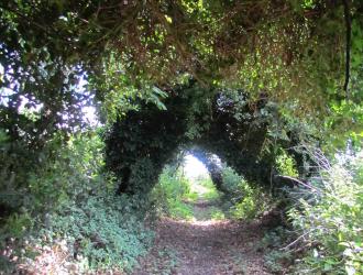 Footpath off Loudham Lane