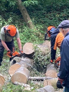 Chain Sawing